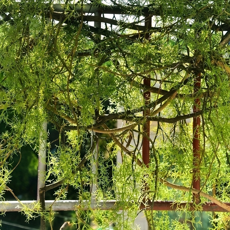 1 pièce, 140 cm, vigne artific - Rattan Plant Basket avis et prix