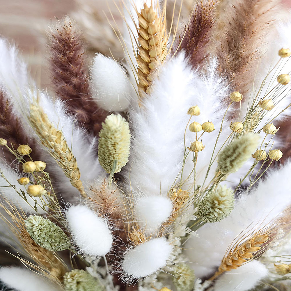 Bouquet d'herbe de Pampa séché - Pampas Grass Decor avis et prix