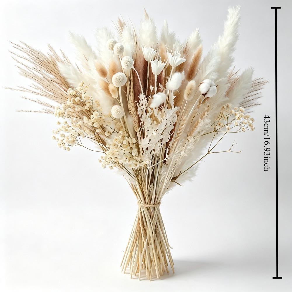 Bouquet d'herbe de pampa séché - Pampas Grass Decor avis et prix