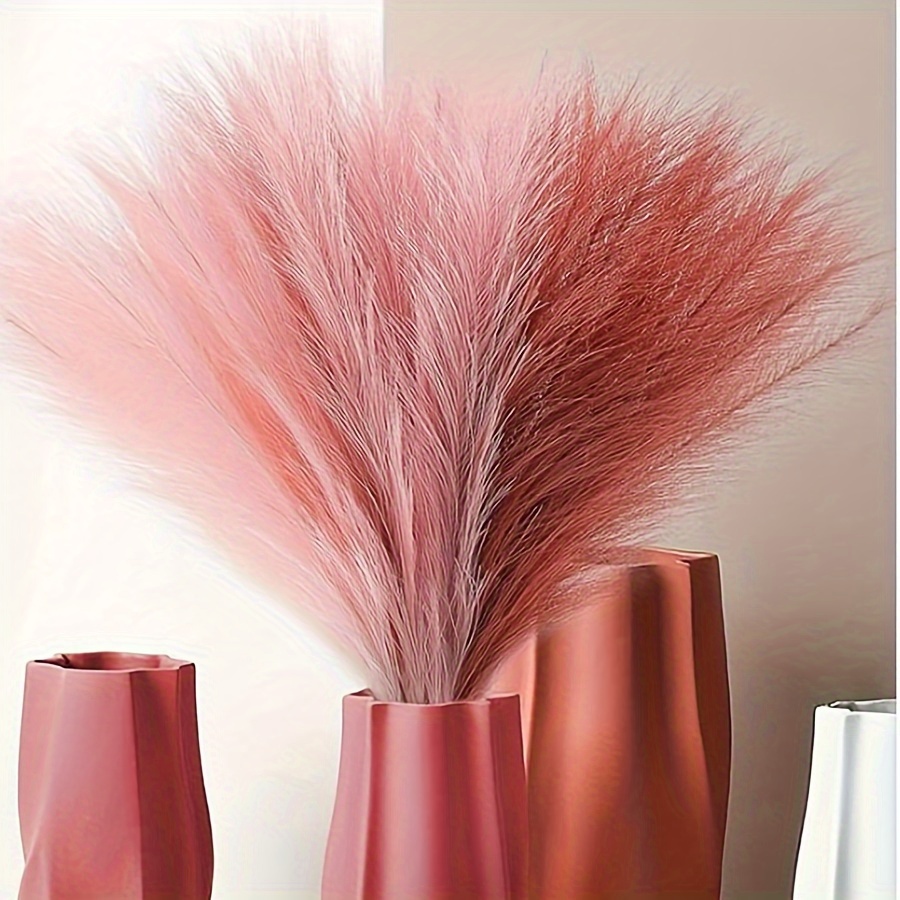 Plume de pampa artificielle co - Pampas Grass Decor avis et prix