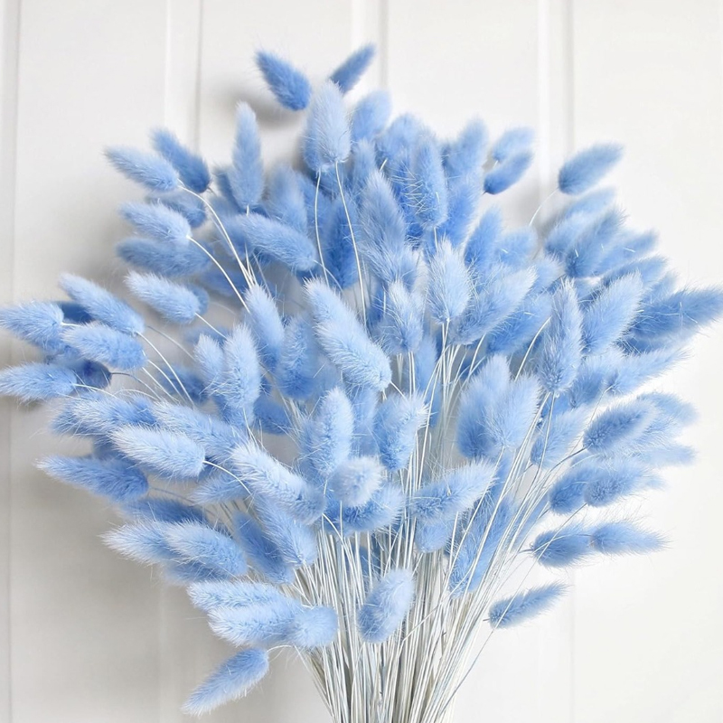 100 pièces bleu lièvre-queue h - Pampas Grass Decor avis et prix